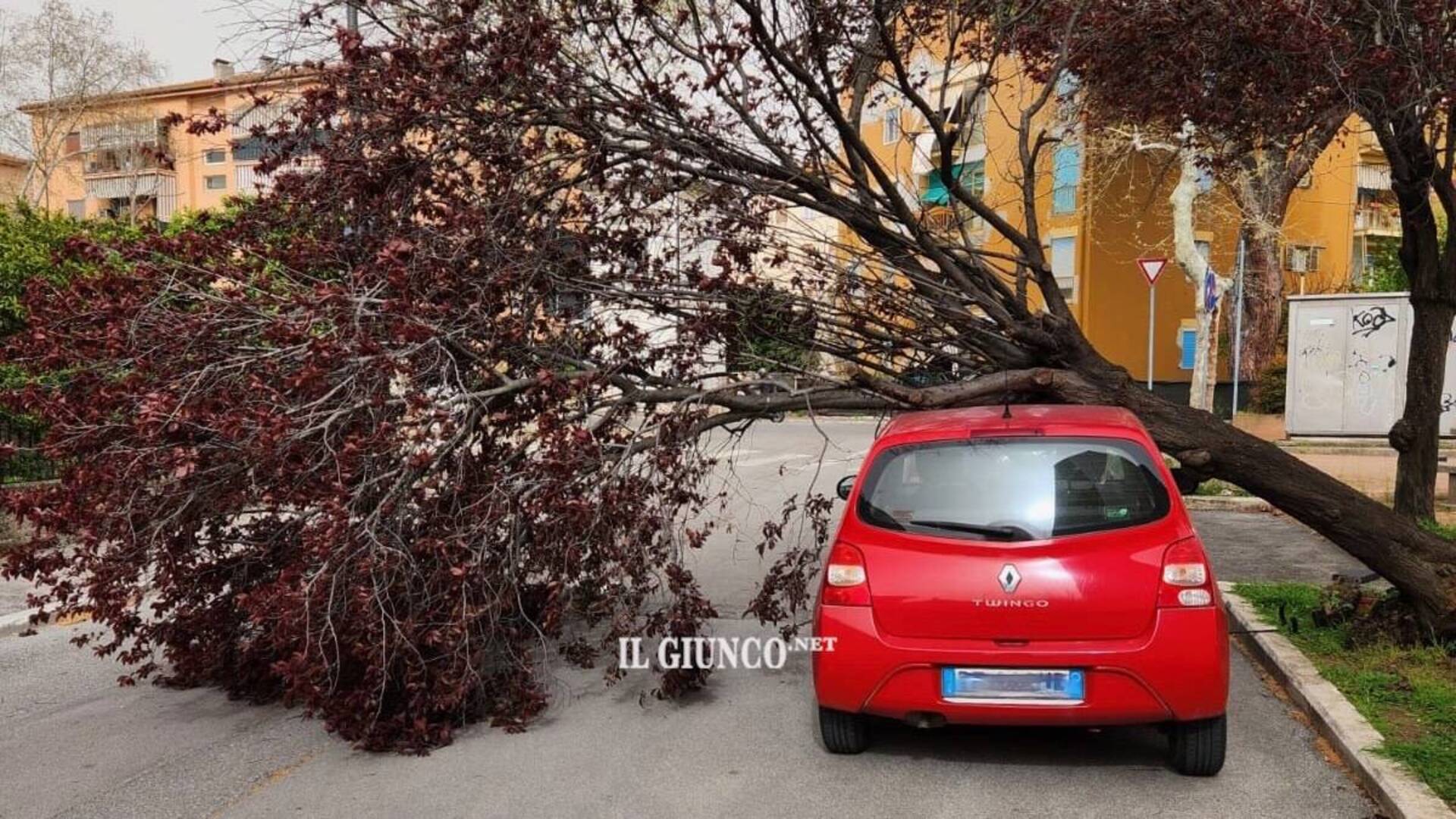 Albero cade sulla via e colpisce una macchina. LE FOTO