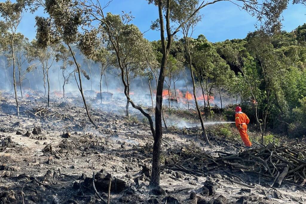 incendio bosco